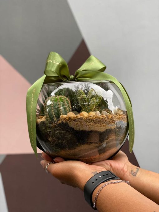 vaso-de-suculenta-para-presente